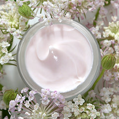 Alpyn Beauty PlantGenius Melt Moisturizer