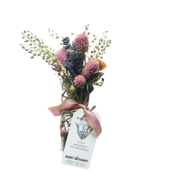 The Lovely Sage Bundle by Quiet Botanist