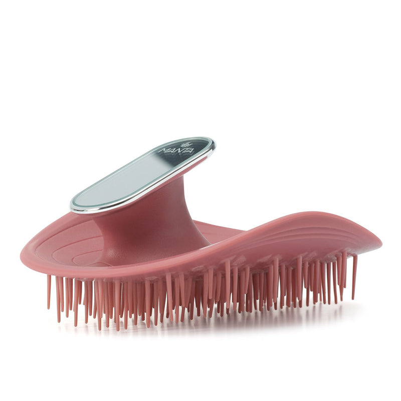 Cassis Mirrored Manta Hair brush
